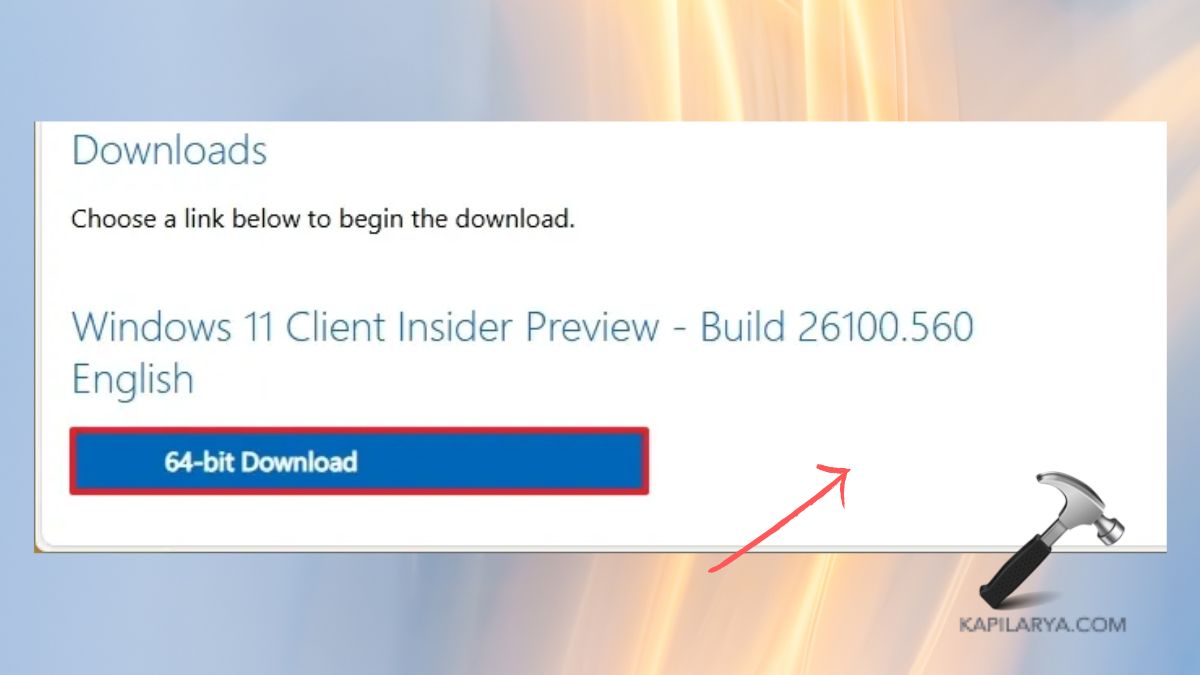 Download windows 11 24h2 iso file
