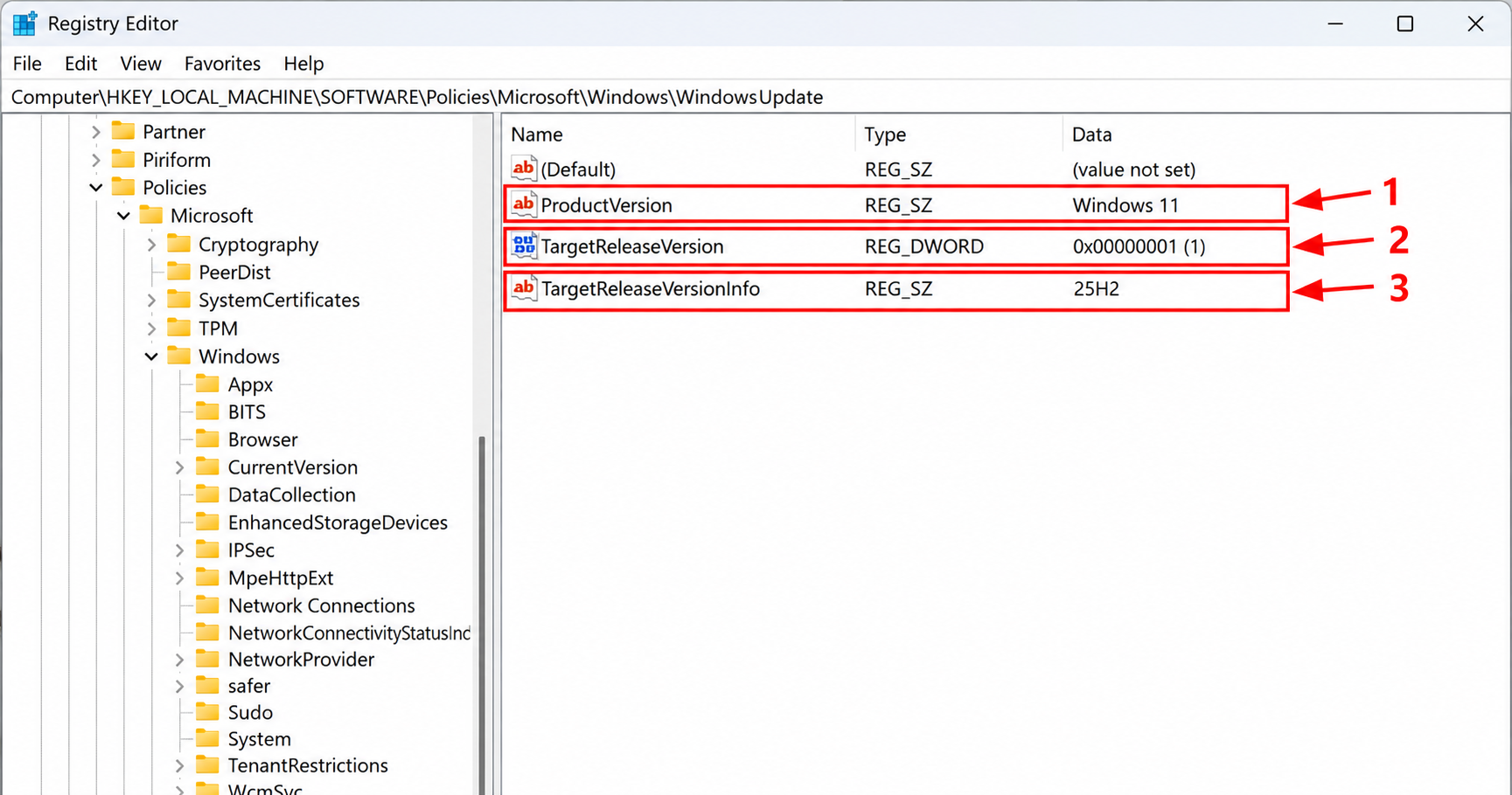 Registry Editor showing the three configured values
