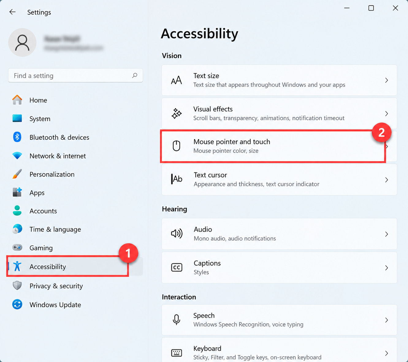 Select mouse pointer and touch.