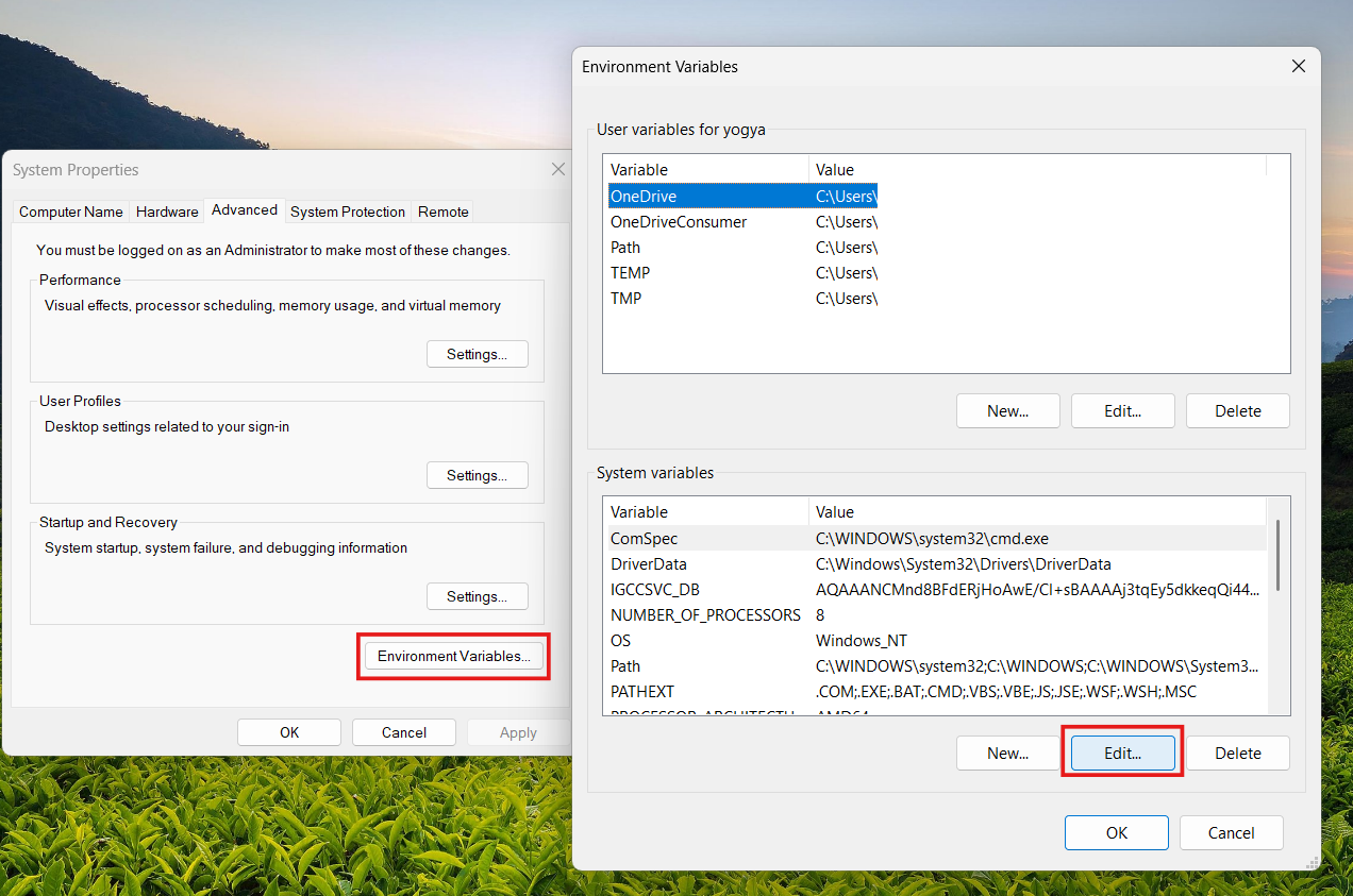 Add AWS CLI to PATH: Install and Configure AWS CLI