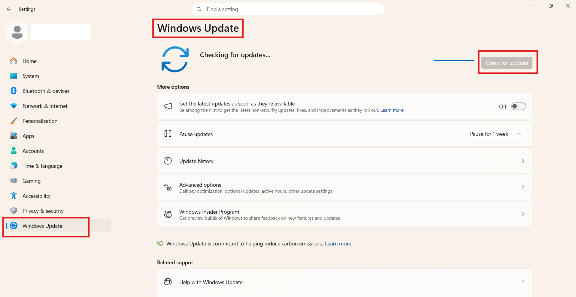 Check Windows update