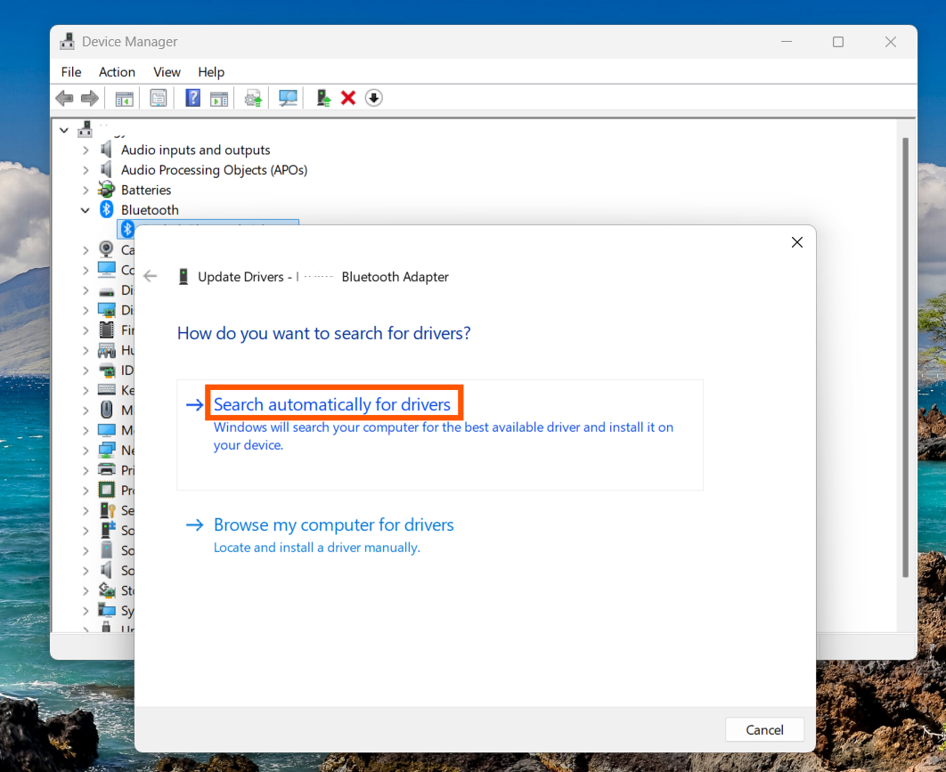 Check for Driver Updates: Bluetooth problems in Windows 11