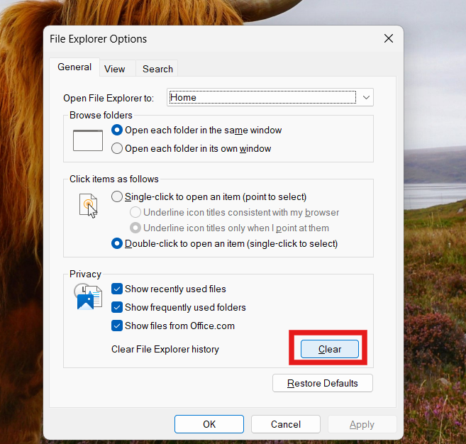 Clear History: Fix Windows Explorer Not Responding on Windows 11