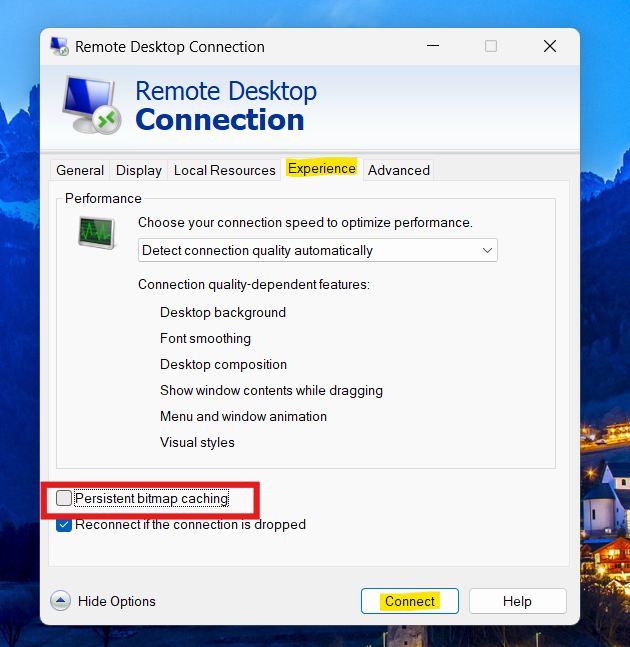 Disable Persistent Bitmap Caching: Remote Desktop keeps freezing or disconnecting