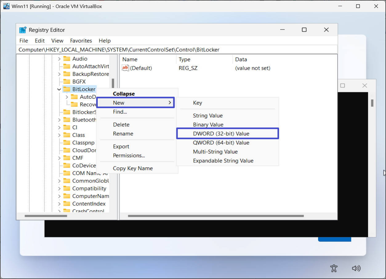Stop Automatic BitLocker Device Encryption during Install on Windows 11