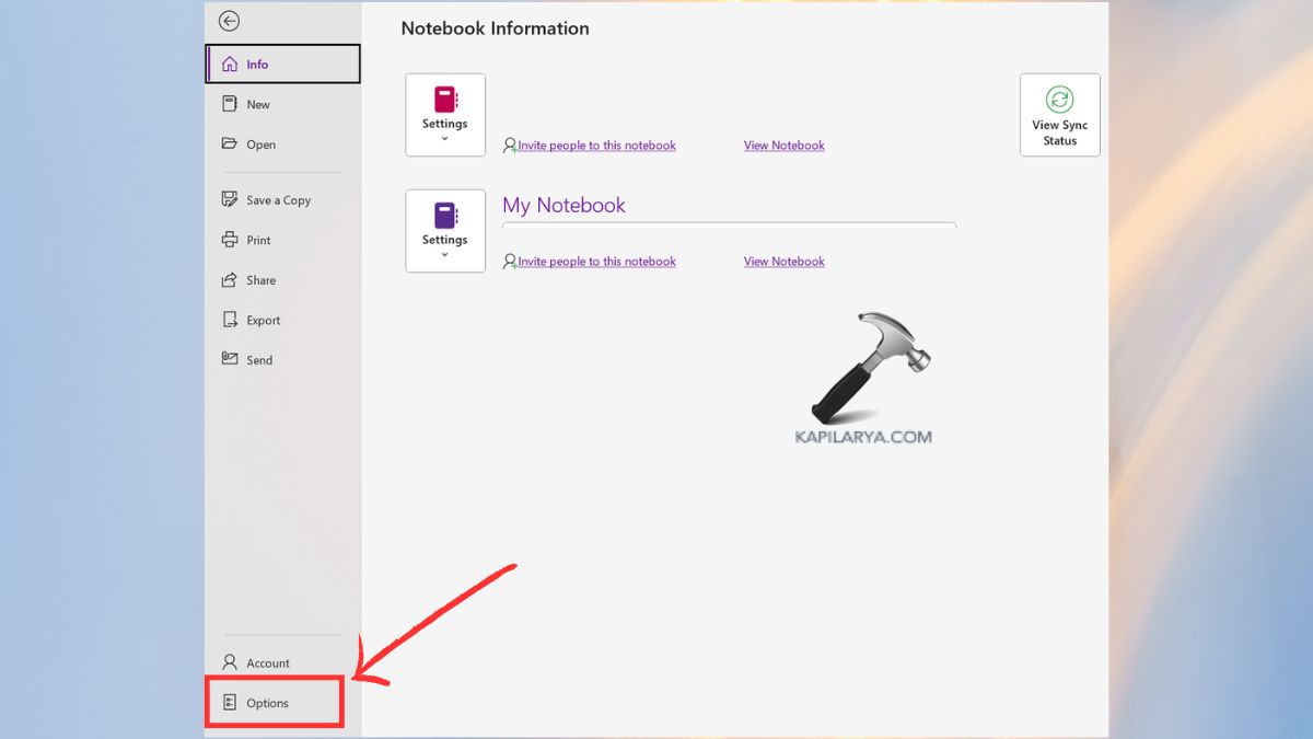 Options in OneNote
