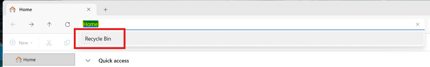 Recycle Bin from File Explorer: Fix Recycle Bin Missing in Windows 11