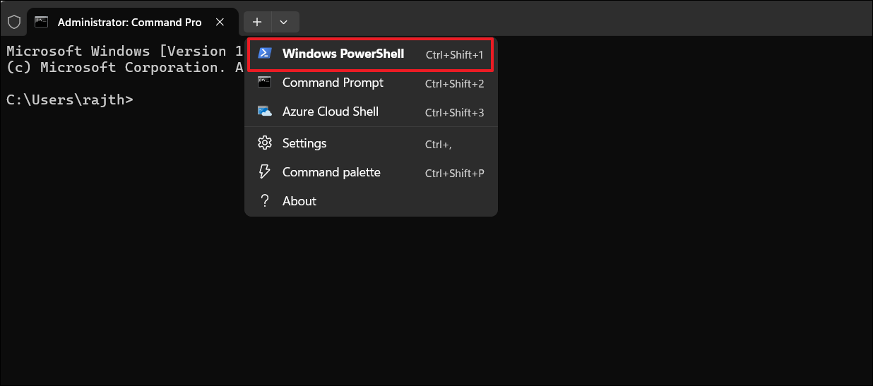 Disable recall feature in windows 11