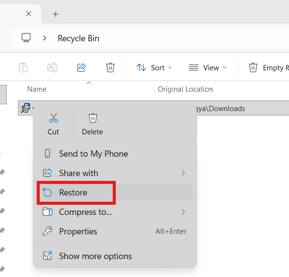 Restore from Recycle Bin: fix the Msvcr110.dll missing error