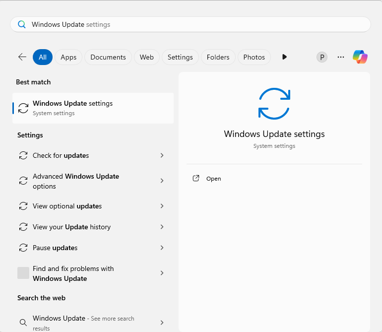 WIndows Update option showing windows update settings