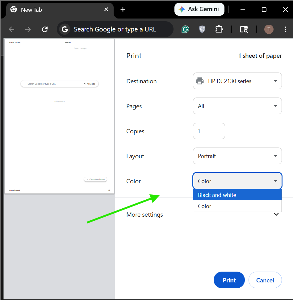 Check Colour Settings Inside The App To Fix Windows 11 Grayscale Printing Not Working
