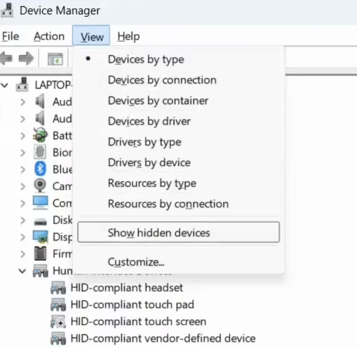 Device Manager View menu with “Show hidden devices”