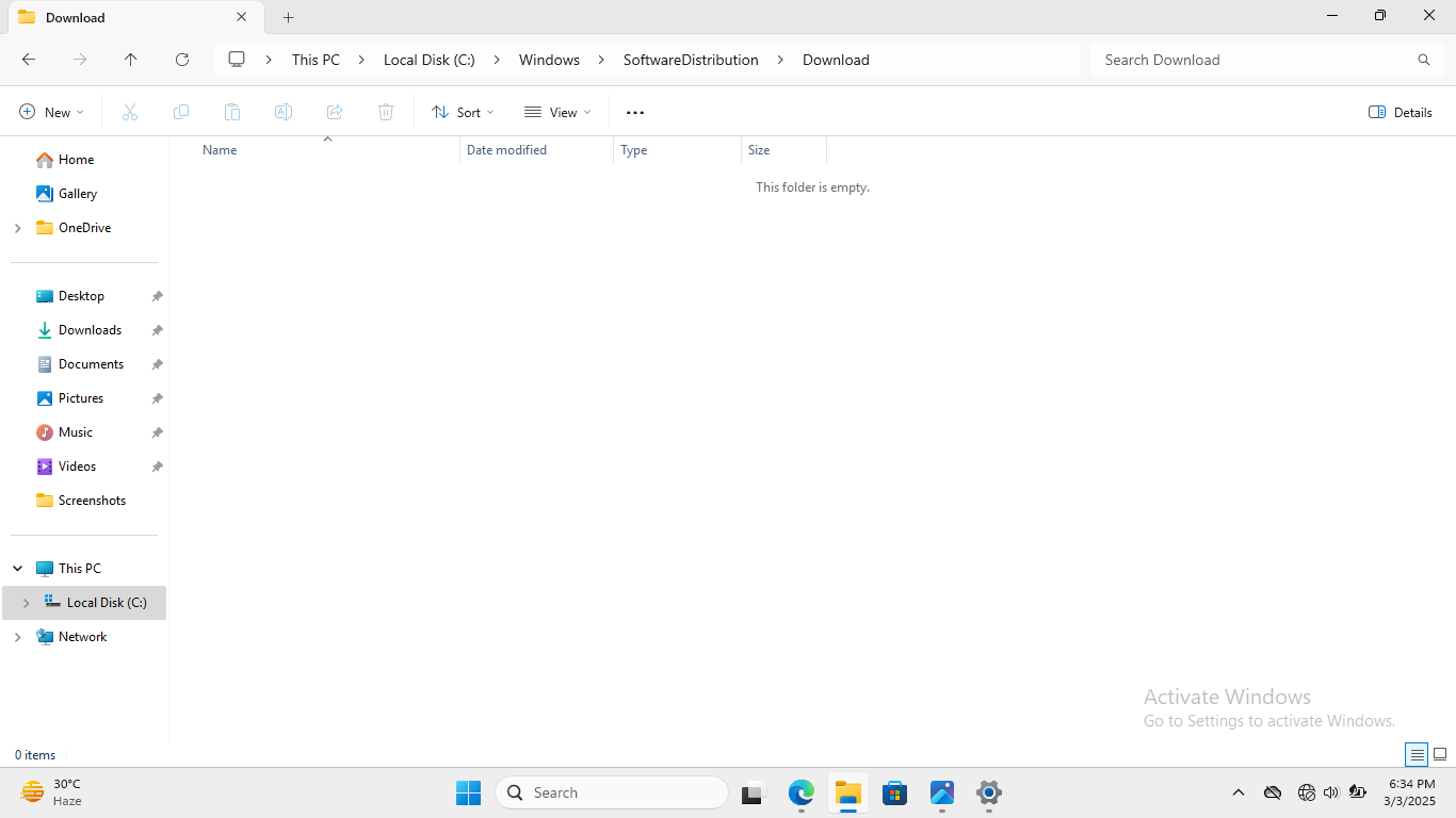 The download folder being empty