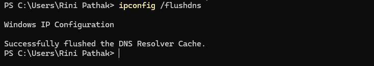 Running command flush DNS to fix no internet after clean install
