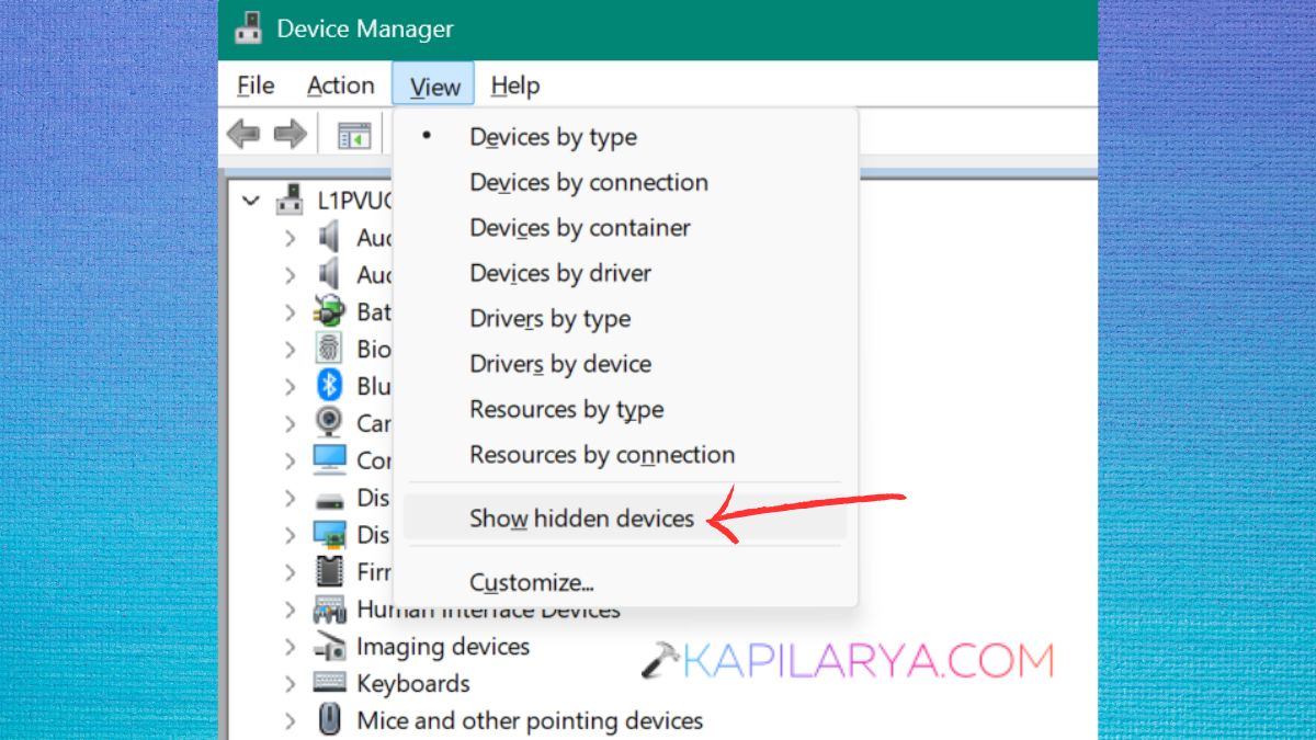 Show hidden devices in Device Manager