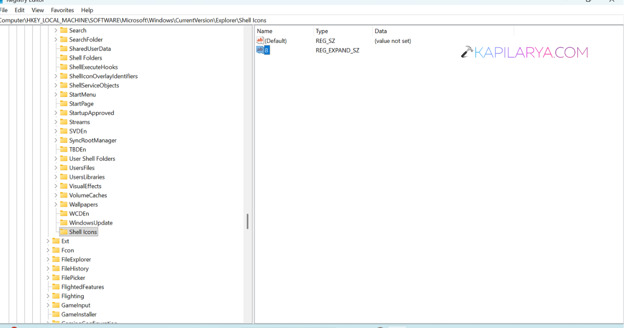 In the right pane, create an Expandable String Value named 8 to Change Drive Icon