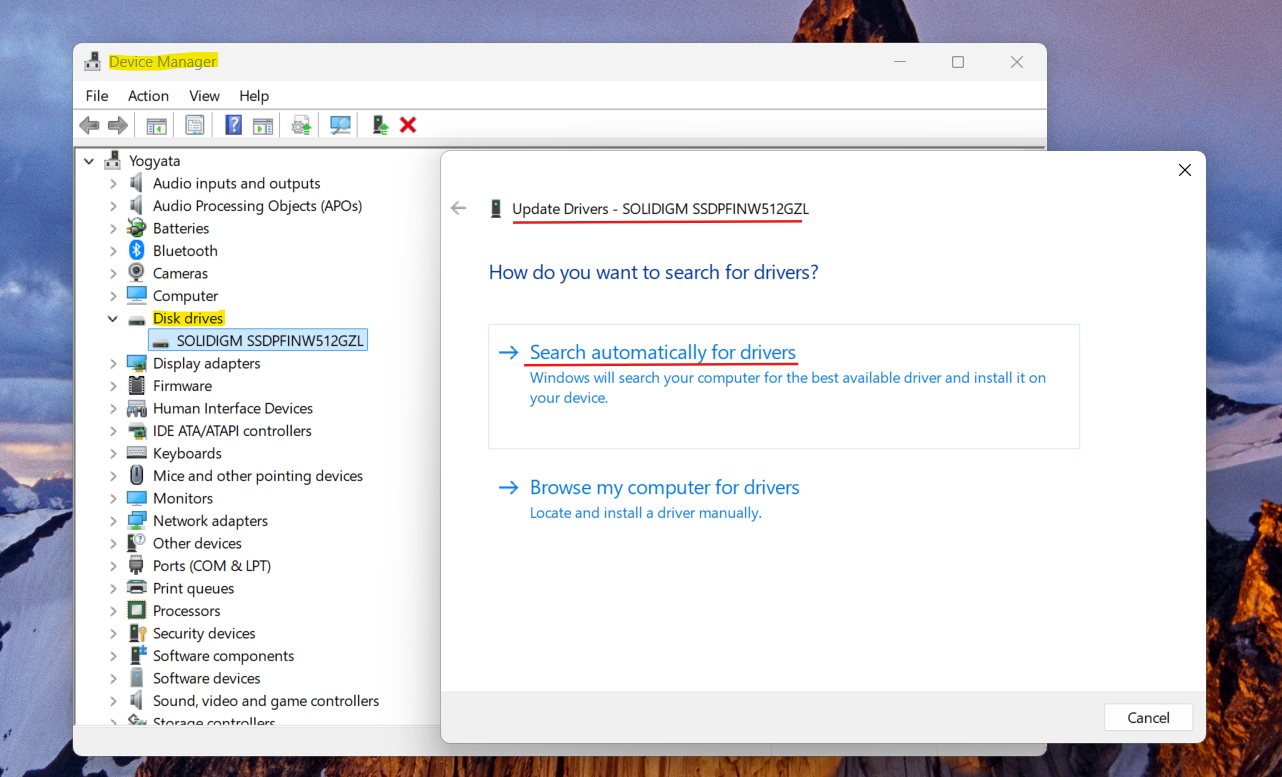 Update driver automatically