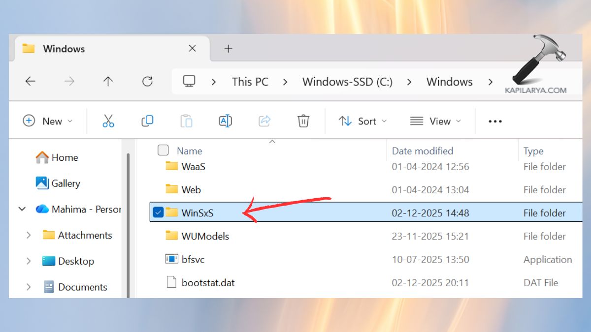 WinSxS folder in file explorer