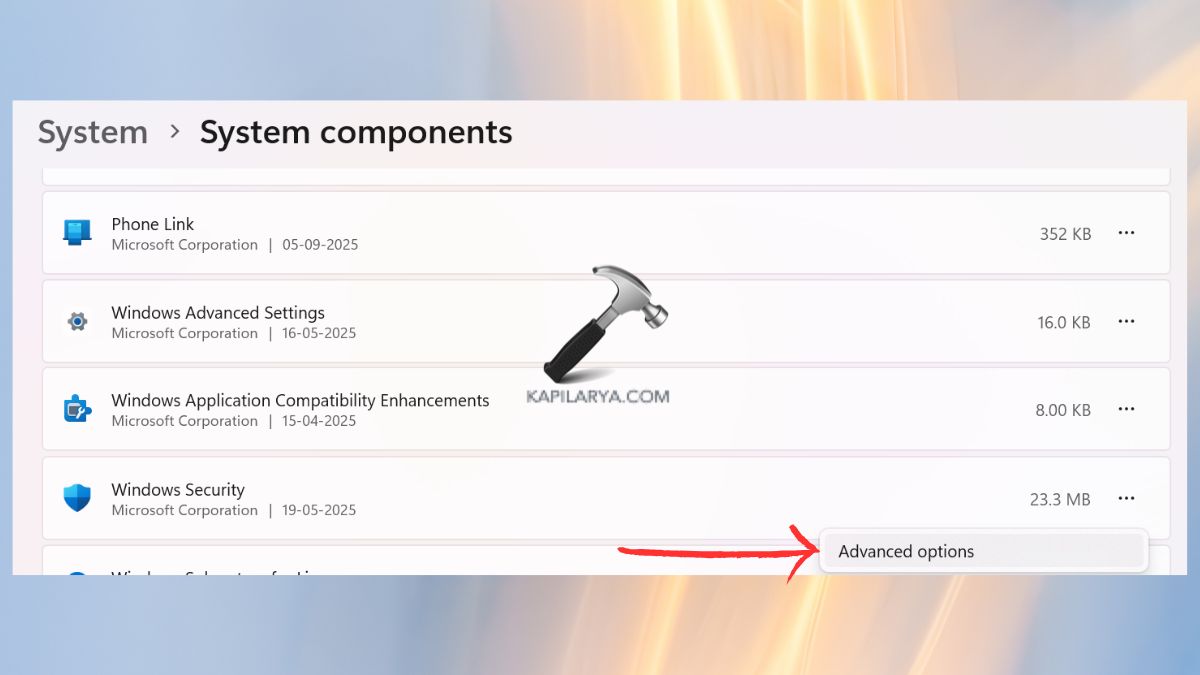 advanced options for windows security