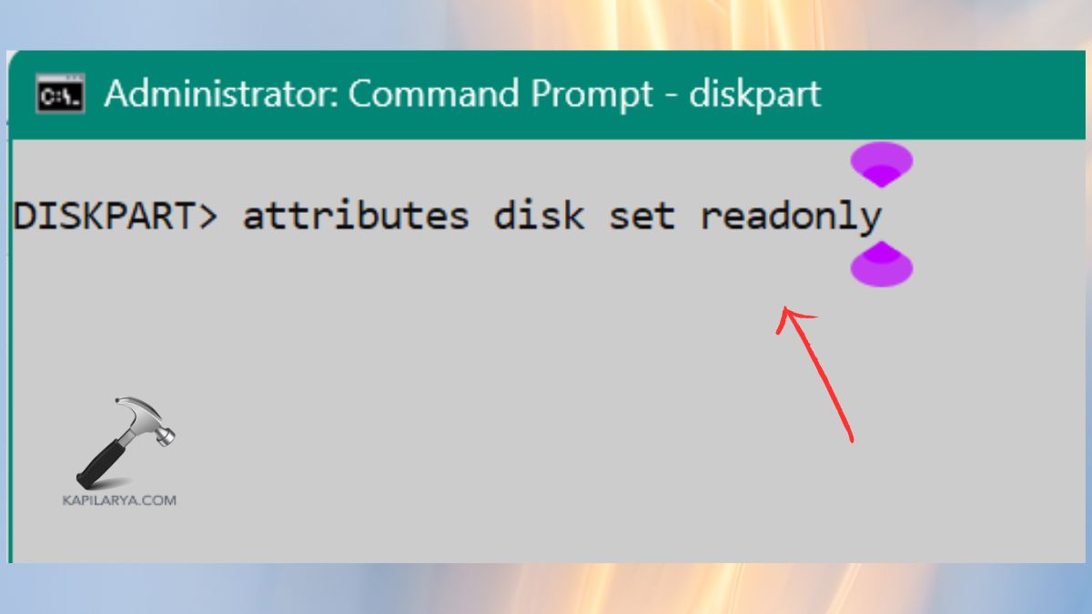 attributes disk set readonly