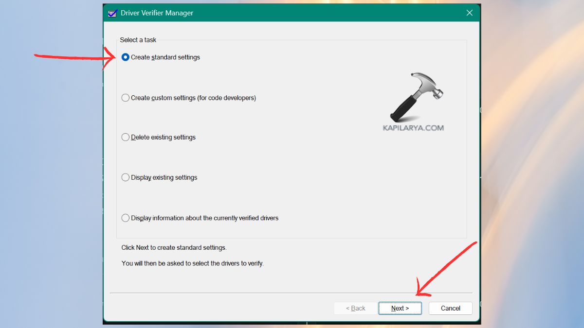 create standard settings in driver verifier manager