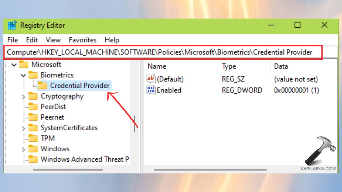 credential provider Remove Fingerprint Using Registry Editor How to remove fingerprint from Windows 11