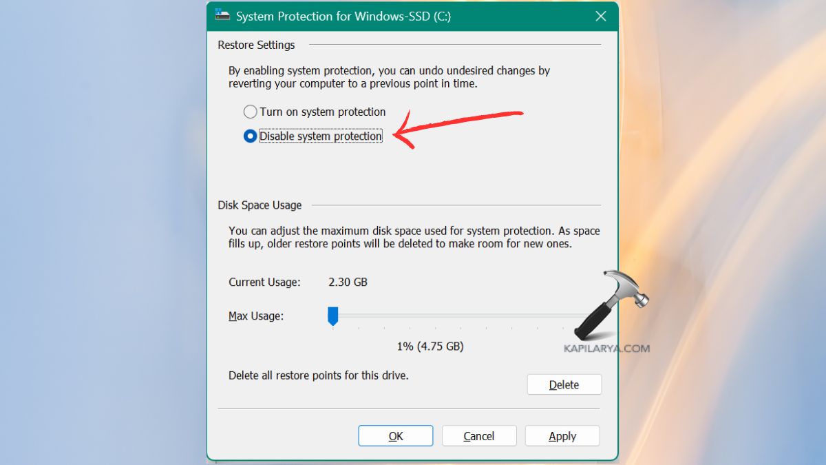 disable system protection