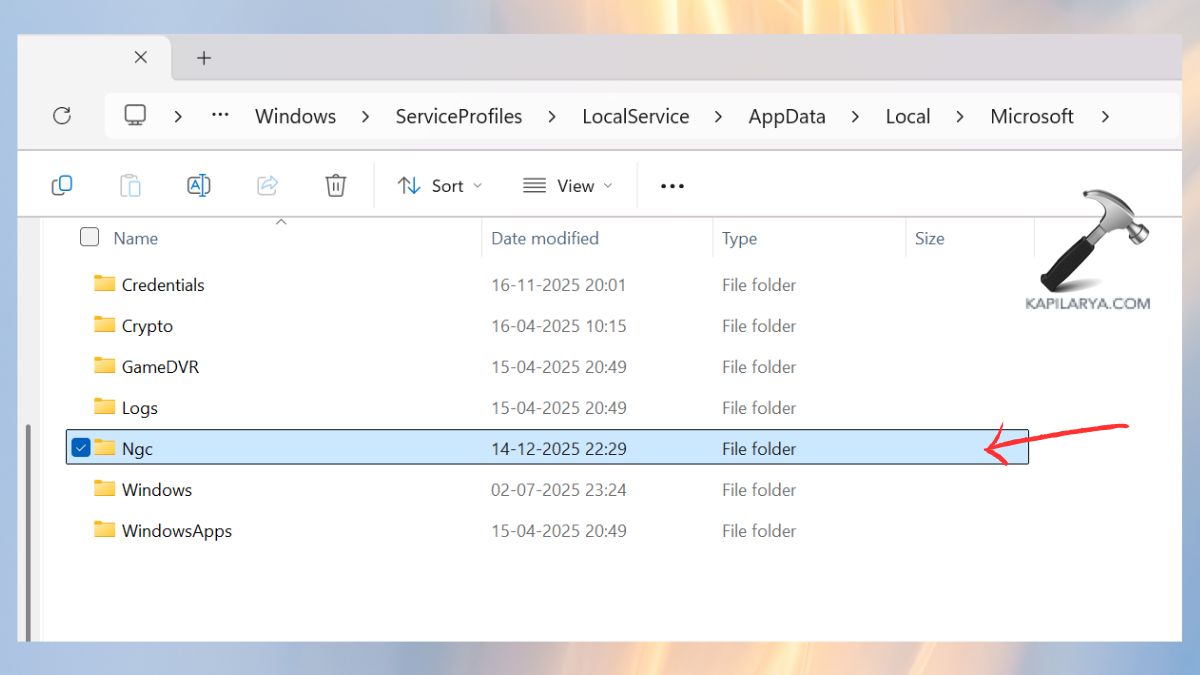 ngc folder Fix Windows Hello PIN login failed in Windows 11