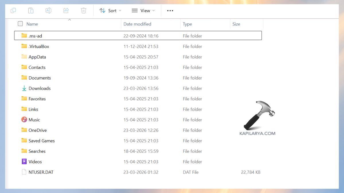no desktop folder found