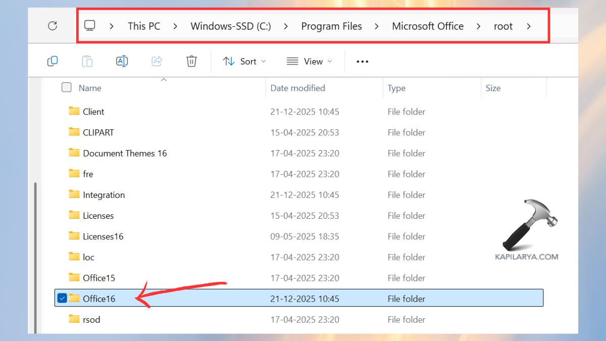 office16 folder in pc