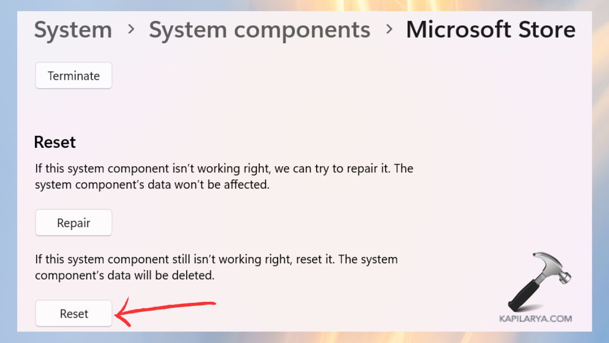 reset microsoft store