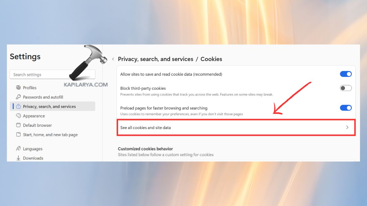 see all cookies and site data