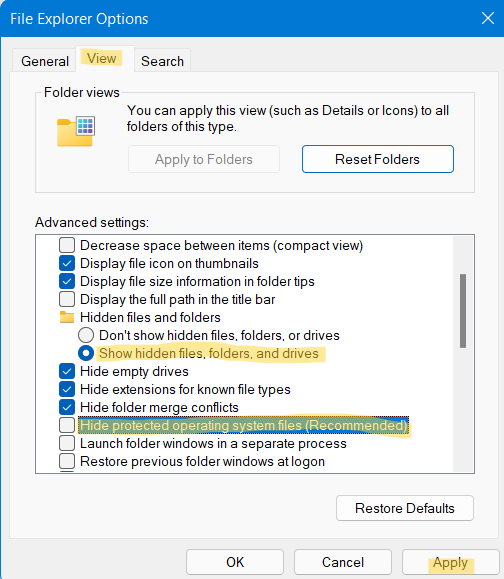 How to Show Hidden Files in Windows 11