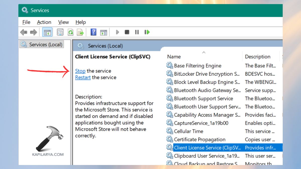 stop Client License Service
