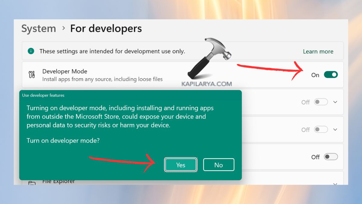 turn on developers in system